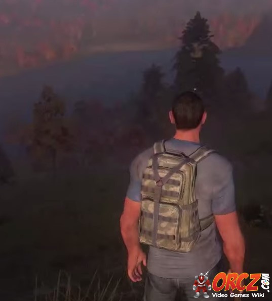 best h1z1 outfits