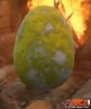 Fertilized Trike Egg