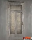 Shed Door