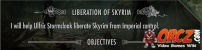 Liberation of Skyrim