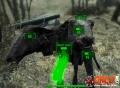 Fallout4RadstagDoe4.jpg