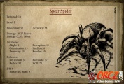 Spear Spider