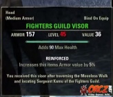 Fighters Guild Visor