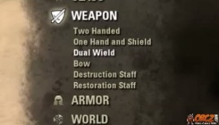 Dual Wield Weapon