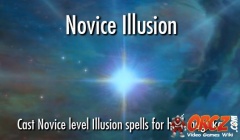Novice Illusion