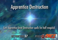 Apprentice Destruction
