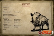 Elder Boar