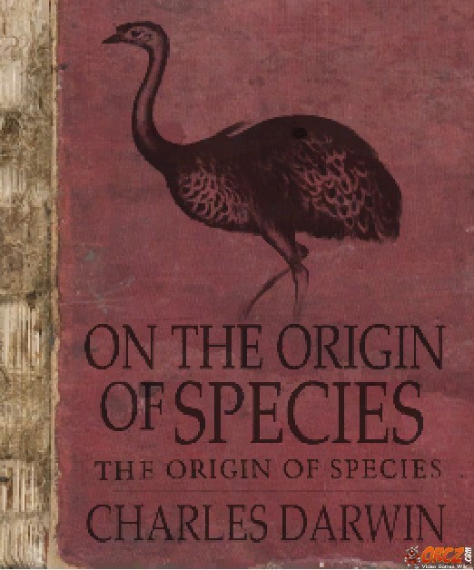 Originspeciesfrontdayzsa.jpg