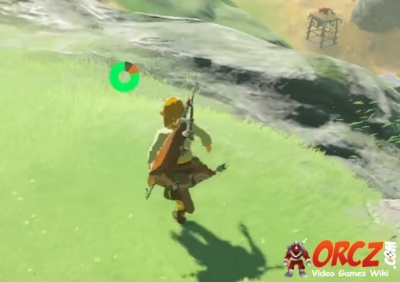 Breath of the Wild: Heart Container - , The Video Games Wiki