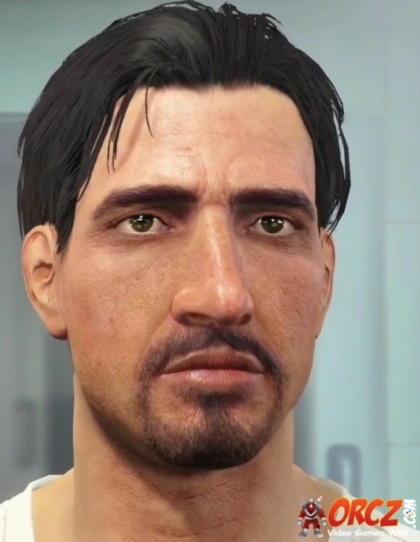 Fallout 4: Facial Hair - Dashing Rogue , The Video Games Wiki