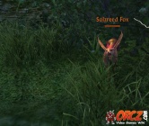 Solzreed Fox